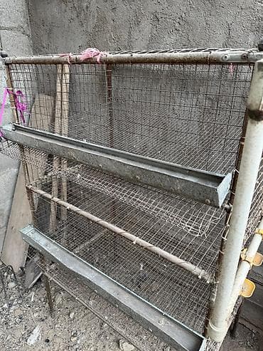 Грызуны: На продажу клетка для перепел — 5