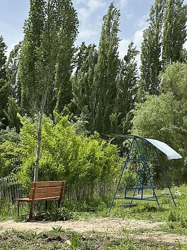 первый май: КЫМЫЗОЛЕЧЕНИЕ с панорамным видом в горы 😍 5 разовое кобылье молоко 3 — 6