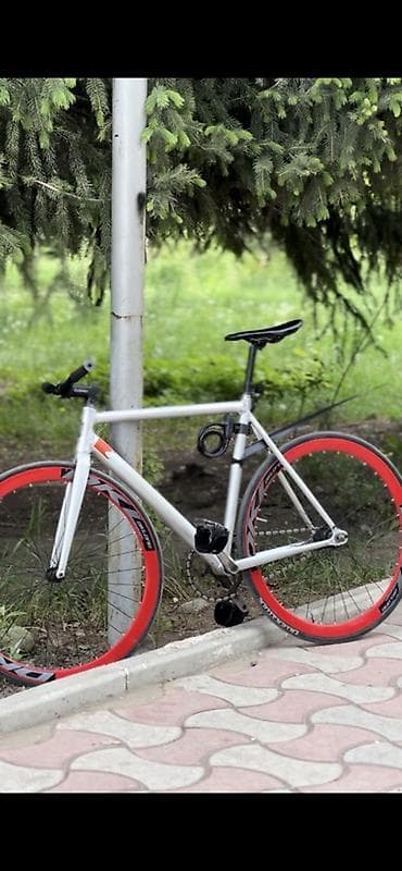 Спорт жана хобби: Шаардык велосипед, Tsunami, Велосипед алкагы L (172 - 185 см), Колдонулган — 1