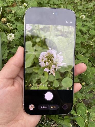 mi store: IPhone 16 Pro, 256 ГБ, Белый, Коробка, 90 % — 6