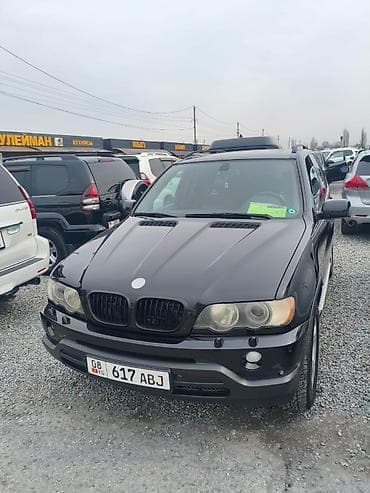 BMW X5: 2003 г., 3 л, Типтроник, Газ, Внедорожник