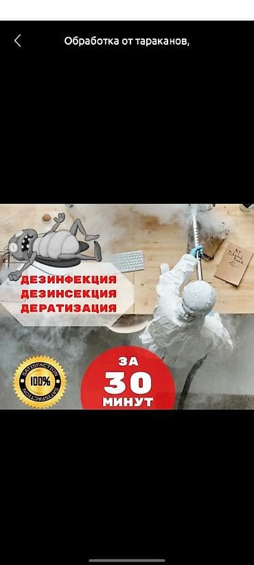 Обработка от тараканов, уничтожение клопов, насекомые травить клопов
