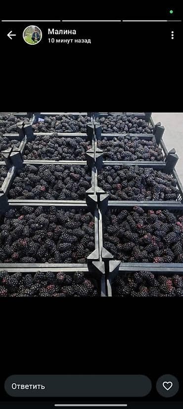 биндеры 18 листов для дома: Пластиковый Ящик — 5