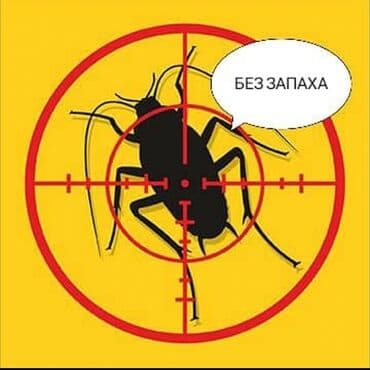 уничтожение клоп блох: Дезинфекция, дезинсекция, | Клопы, Блохи, Тараканы, | Транспорт, Офисы, Квартиры — 1