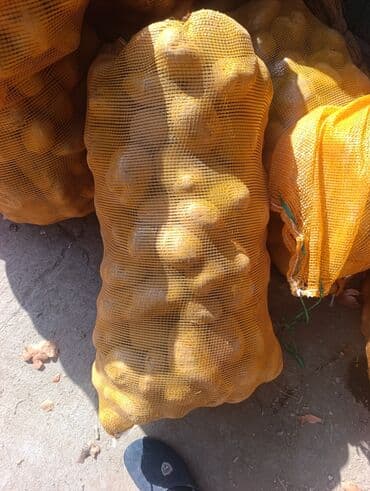 спортивные форма: Картошка Дүңүнөн — 1