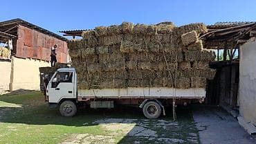 Унаа: Жүк ташуучу унаа, Hyundai, Стандарт, 4 т, Колдонулган — 3