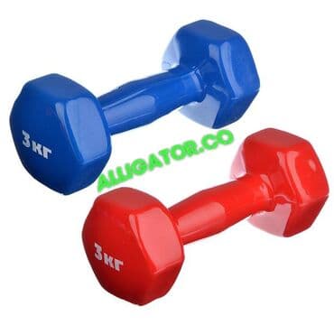 набор гантель в чемодане flexter: Гантели виниловые 3+3 кг новые заводские прорезиненные женские — 1