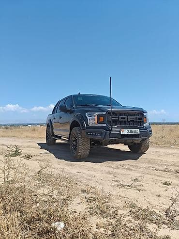 is f: Ford F-150: 2019 г., Типтроник, Бензин, Пикап — 2