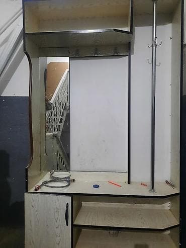 шкаф прихожую: Прихожая с зеркалом и модуль для хранения + напольный унитаз — 2