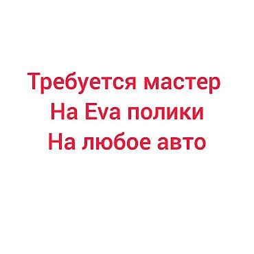 Требуется мастер Эва полики
