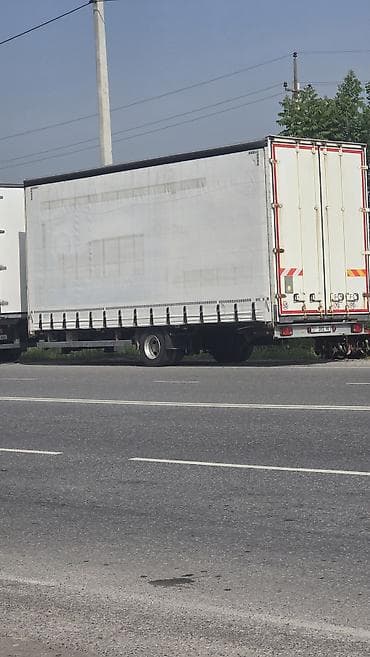 wv transporter: Тягач, Mercedes-Benz, Тентованный — 10