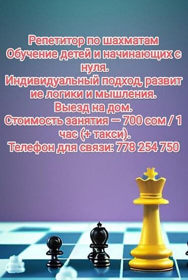 au pair: Репетитор по шахматам для детей и начинающих с нуля. - Индивидуальный — 1