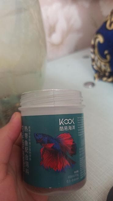 Үй жаныбарлары: Аквариумный набор для бойцовой рыбки (Betta) Состав: - Круглый — 6
