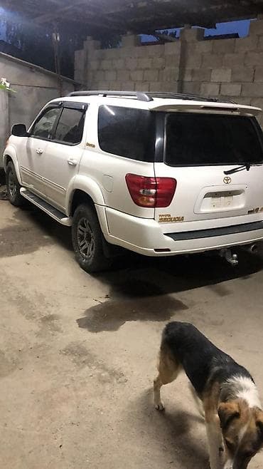 тойта секвоя: Toyota Sequoia: 2003 г., Автомат, Внедорожник — 1