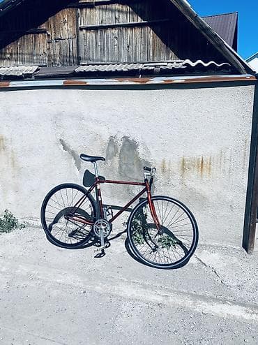 engine 11: Рама: plusque veloline lucy Double butted CR-MO В красивом цвете — 5
