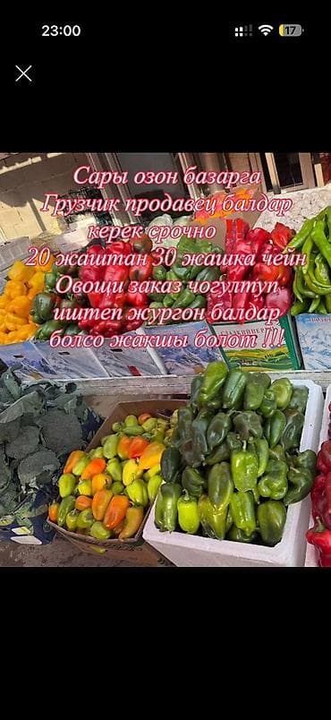 упаковщицы с ежедневной оплатой: Грузчик — 2