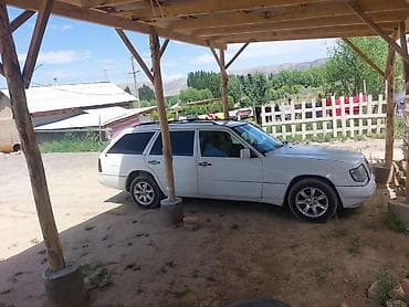 Mercedes-Benz W124: 1995 г., 2.2 л, Механика, Бензин, Универсал