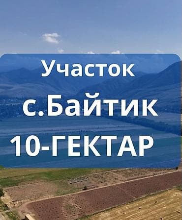 10 соток, Бизнес үчүн — 1