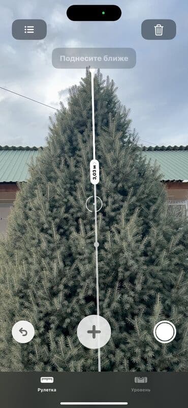 Уход и хранение одежды: Живая ель голубая (колючая ель, Picea pungens) - Высота: около — 6