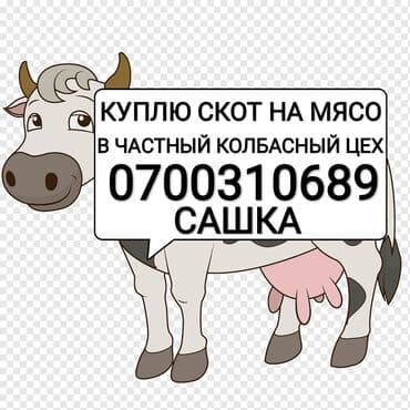дом для кур: Принимаю скот в частный колбасный цех и вынужденый забой скота — 1