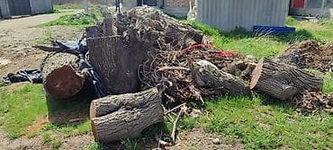 Все для дома и сада: Дрова — 2