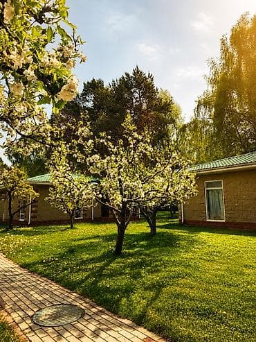 novel hotel иссык куль цены: Коттедж, Коттедж ЦО Радуга, Сары-Ой, Детская площадка, Парковка, стоянка, Охраняемая территория — 8