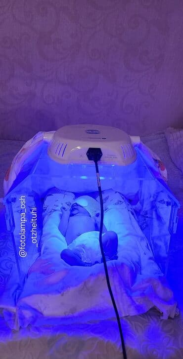 масляная лампа: Ош Фотолампа - кювез. Арендага берилет, жаны, кооптуу, эффективдуу, 2 — 5