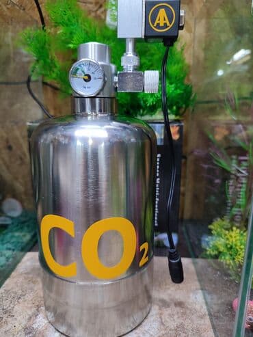 аквариумная рыбка: Универсальный CO2 для небольших аквариумов. С возможностью — 2