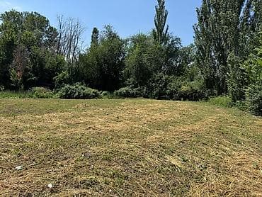 Жер тилкелери: 7 соток — 1