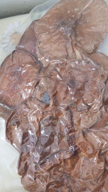 капсулы реборн отзывы: Универсальный, Капсулы — 9