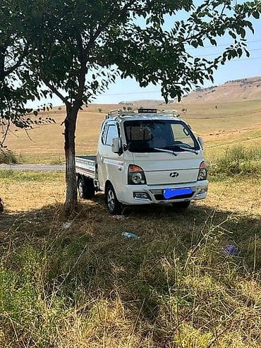 sprinter 2 7: Легкий грузовик, Hyundai, Стандарт, 1,5 т — 3