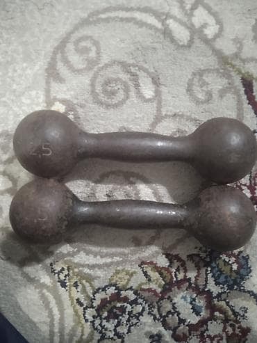 гиря ссср: Продам гантель пара СССР, по 2,5 кг по вопросам пишите WhatsApp — 2