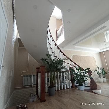 мал соем: Лесницы овальные — 4