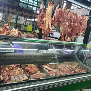 дойных коров: Продаю | Бык (самец), Музоо, торпок — 1