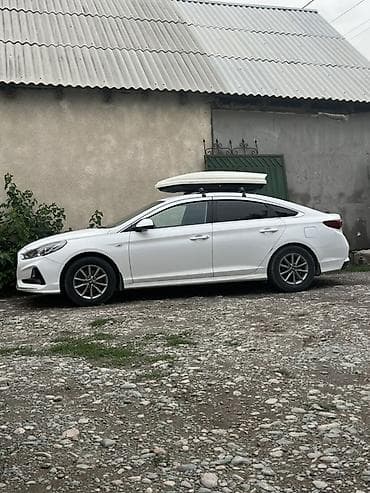 ипсум чехол: Авто бокс — 1