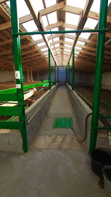 жумуш кылатка: Мал караганга уйго малчы керек, жата кана, тамак ашы каралат. Айлык — 1