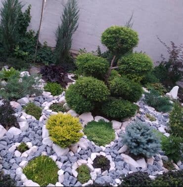 требуется разнорабочий на стройку: 🍀стрижка хвойных🍀 🍀обрезка деревьев🍀 🍀Газон под ключ. 🍀Все виды — 2