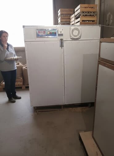 Өндүрүш үчүн жабдуулар: Продаю 2 Инкубатора один на 2112 яйц, второй на 1028 яйц — 1