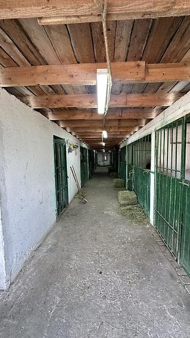 Продажа коммерческой недвижимости: Ферма КРС, 15 соток, Действующий — 3