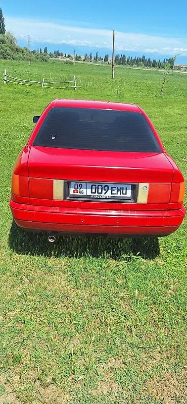 Audi 100: 1993 г., 2.3 л, Механика, Бензин, Седан