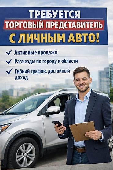 Швейное дело: Требуется торговый представитель (вэн-система) со своим авто Оклад — 1