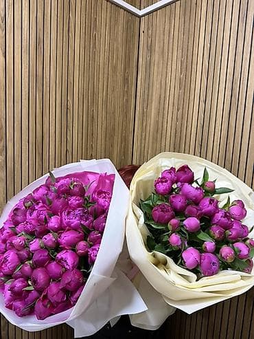 пионы цветы: Букет из пионов фуксия - Состав: садовые пионы насыщенного — 2