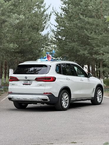 fit shuttle: BMW X5: 2019 г., 3 л, Автомат, Бензин, Внедорожник — 6