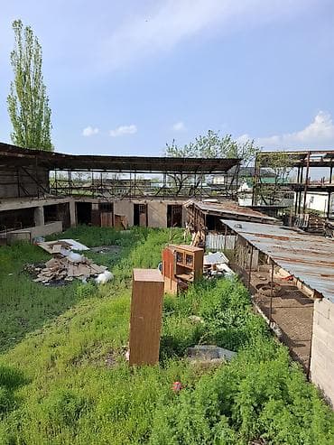 уй сатып алам бишкек: Мүйүздүү бодо мал фермасы, 4 соток, Иштебеген, Жабдууларсыз, Коммуникацияларсыз — 2