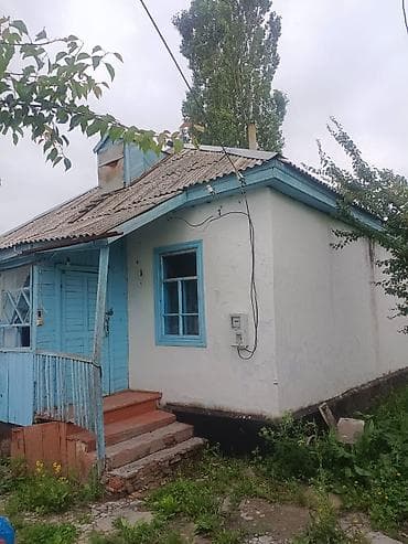 Жилой дом с придомовым участком и хозяйственными постройками. Иссык — 5