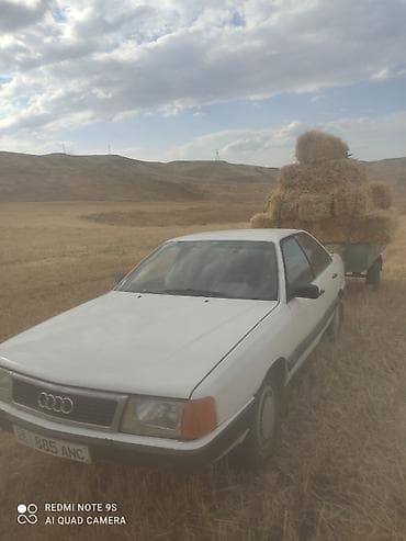 Audi: Audi 100: 1986 г., 2.5 л, Механика, Дизель, Седан — 4