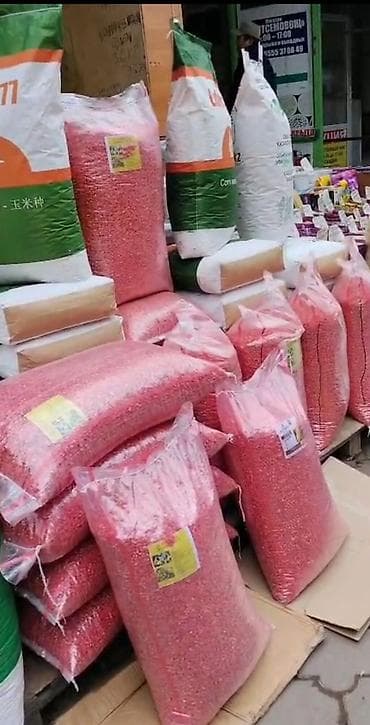 Семена кукурузы оптом и в розницу есть все сорта БУДАН и местной
