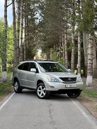 с4 2 0: Lexus RX: 2004 г., 3 л, Автомат, Бензин, Кроссовер — 2