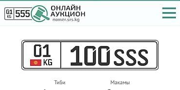 селкирк рекс: Индивидуальный автомобильный номерной знак формата Кыргызстана — 3