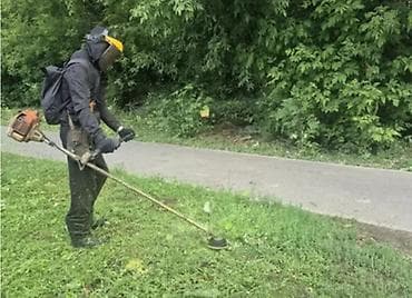 Уборка территории, Стрижка газона